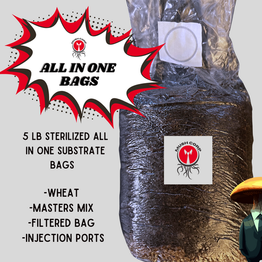 All in One bags- Bulk Pack